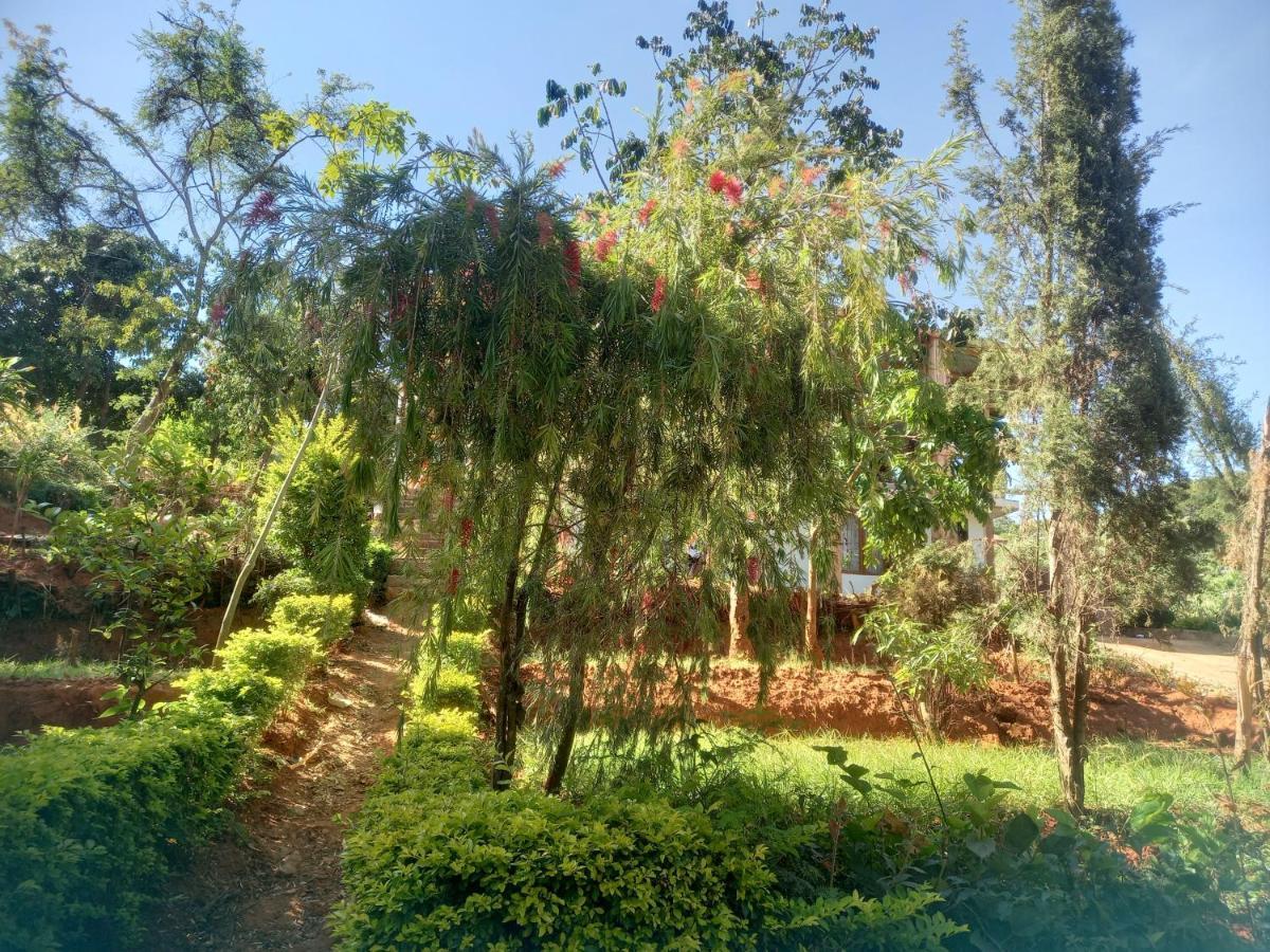 Emmy'S Backpackers Hostel Iringa Exterior photo