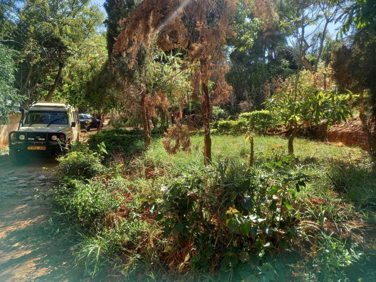 Emmy'S Backpackers Hostel Iringa Exterior photo